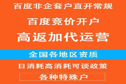竞价广告的创意与执行：经典案例剖析